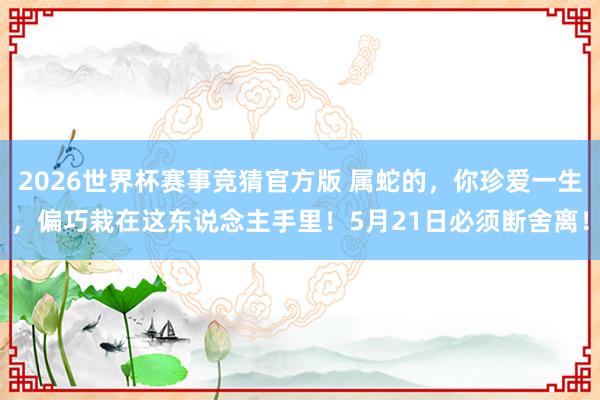 2026世界杯赛事竞猜官方版 属蛇的，你珍爱一生，偏巧栽在这东说念主手里！5月21日必须断舍离！