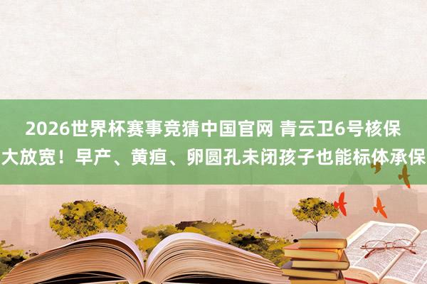 2026世界杯赛事竞猜中国官网 青云卫6号核保大放宽！早产、黄疸、卵圆孔未闭孩子也能标体承保
