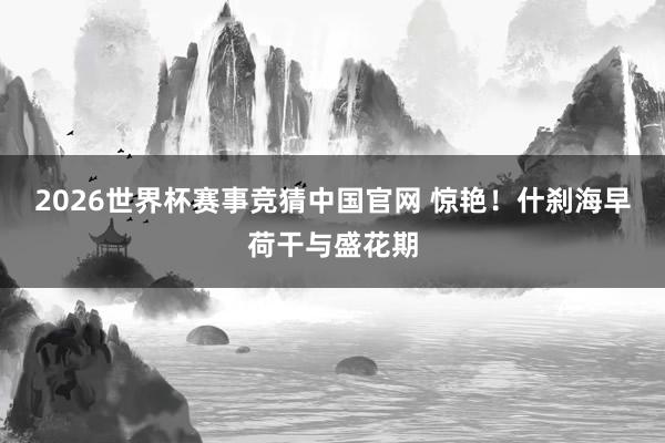 2026世界杯赛事竞猜中国官网 惊艳！什刹海早荷干与盛花期