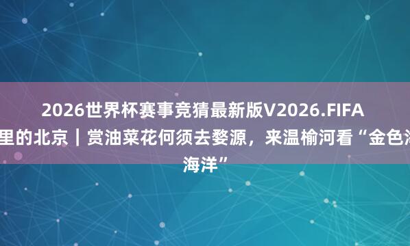 2026世界杯赛事竞猜最新版V2026.FIFA 花坛里的北京|赏油菜花何须去婺源,来温榆河看“金色海洋”
