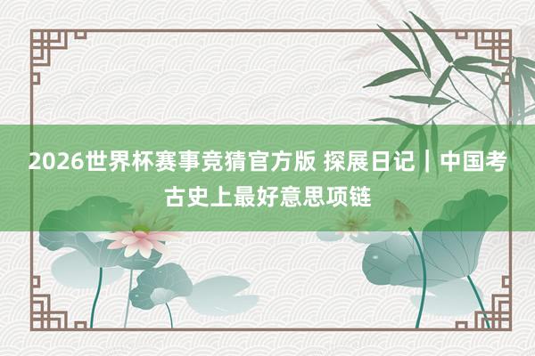 2026世界杯赛事竞猜官方版 探展日记|中国考古史上最好意思项链