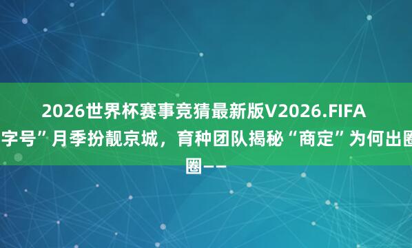 2026世界杯赛事竞猜最新版V2026.FIFA “京字号”月季扮靓京城,育种团队揭秘“商定”为何出圈——