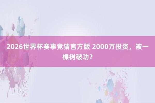 2026世界杯赛事竞猜官方版 2000万投资,被一棵树破功?
