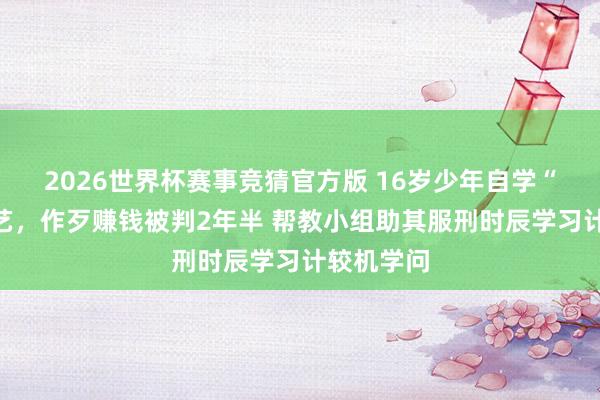 2026世界杯赛事竞猜官方版 16岁少年自学“黑客”技艺,作歹赚钱被判2年半 帮教小组助其服刑时辰学习计较机学问