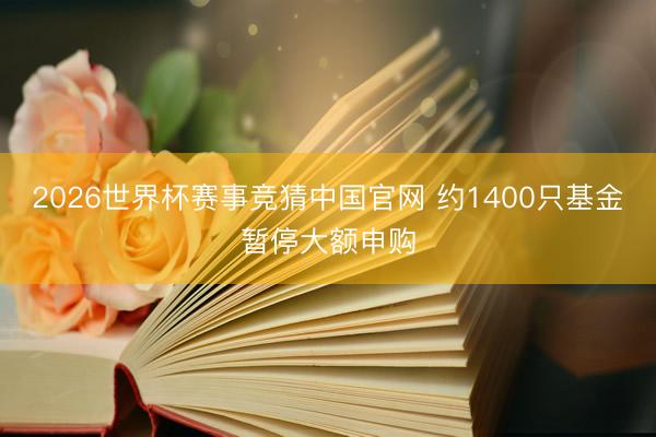 2026世界杯赛事竞猜中国官网 约1400只基金暂停大额申购