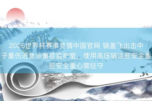 2026世界杯赛事竞猜中国官网 锅盖飞出击中头部!女子重伤进急诊重症监护室,使用高压锅这些安全重心需驻守