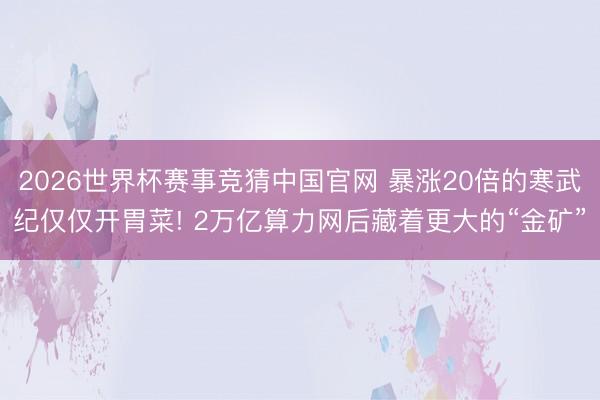 2026世界杯赛事竞猜中国官网 暴涨20倍的寒武纪仅仅开胃菜! 2万亿算力网后藏着更大的“金矿”